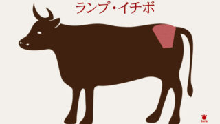 ランプ・イチボ通販